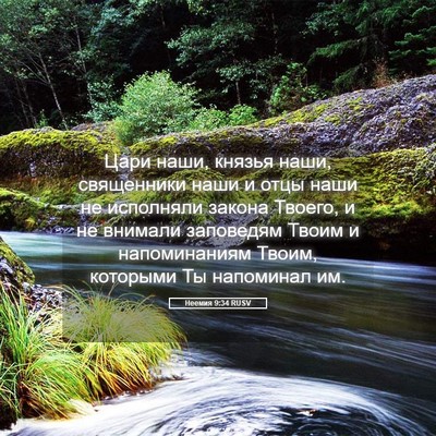 Picture 05 - Неемия 9:34 RUSV - Цари наши, князья наши, - Bible Verse Picture