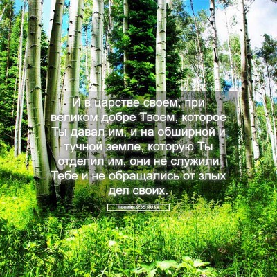 Picture 05 - Неемия 9:35 RUSV - И в царстве своем, при - Bible Verse Picture