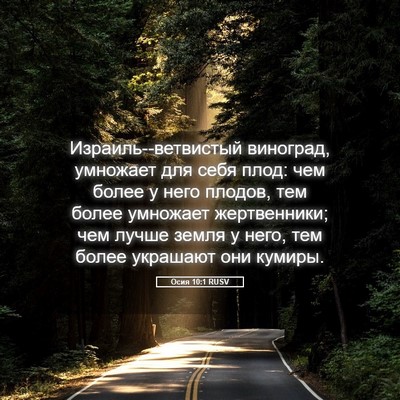 Picture 05 - Осия 10:1 RUSV - Израиль--ветвистый - Bible Verse Picture