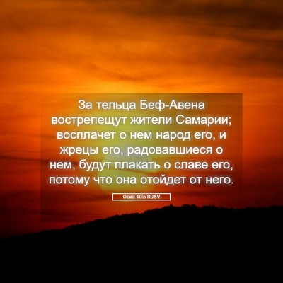 Picture 05 - Осия 10:5 RUSV - За тельца Беф-Авена - Bible Verse Picture