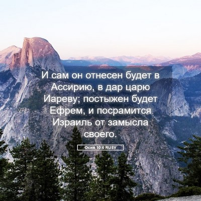 Picture 05 - Осия 10:6 RUSV - И сам он отнесен будет в - Bible Verse Picture