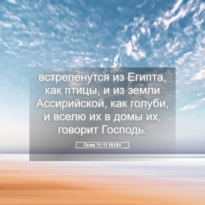 Picture 05 - Осия 11:11 RUSV - встрепенутся из Египта, - Bible Verse Picture