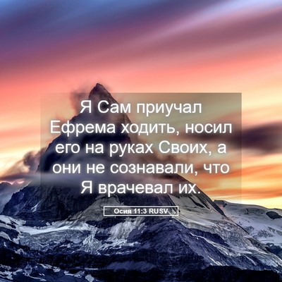 Picture 05 - Осия 11:3 RUSV - Я Сам приучал Ефрема - Bible Verse Picture