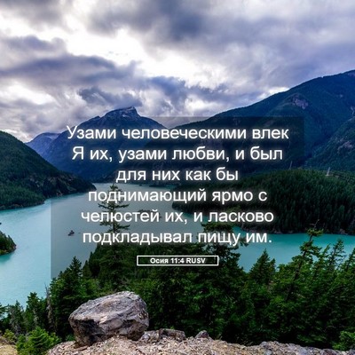 Picture 05 - Осия 11:4 RUSV - Узами человеческими влек Я - Bible Verse Picture