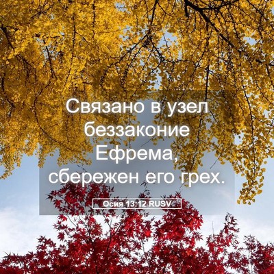 Picture 05 - Осия 13:12 RUSV - Связано в узел беззаконие - Bible Verse Picture