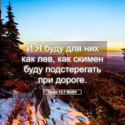 Picture 05 - Осия 13:7 RUSV - И Я буду для них как лев, - Bible Verse Picture