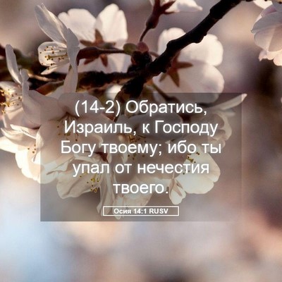 Picture 05 - Осия 14:1 RUSV - (14-2) Обратись, Израиль, к - Bible Verse Picture