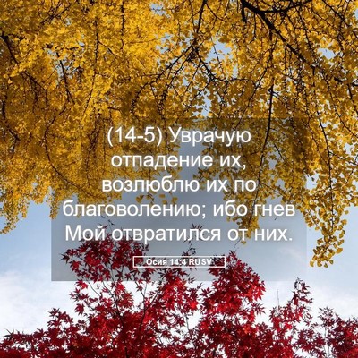 Picture 05 - Осия 14:4 RUSV - (14-5) Уврачую отпадение их, - Bible Verse Picture
