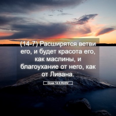 Picture 05 - Осия 14:6 RUSV - (14-7) Расширятся ветви его, и - Bible Verse Picture