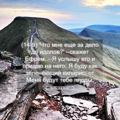 Picture 05 - Осия 14:8 RUSV - (14-9) 'Что мне еще за дело до - Bible Verse Picture