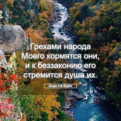 Picture 05 - Осия 4:8 RUSV - Грехами народа Моего - Bible Verse Picture
