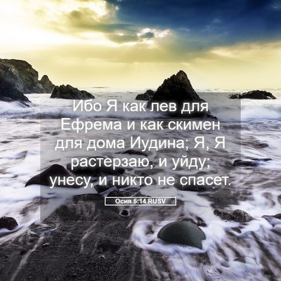 Picture 05 - Осия 5:14 RUSV - Ибо Я как лев для Ефрема и - Bible Verse Picture