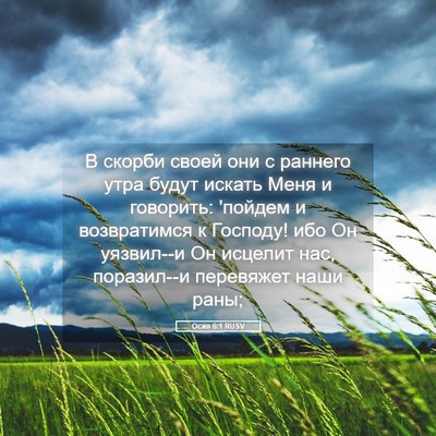 Picture 05 - Осия 6:1 RUSV - В скорби своей они с - Bible Verse Picture