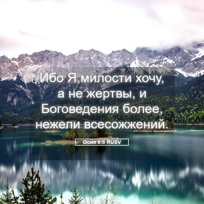Picture 05 - Осия 6:6 RUSV - Ибо Я милости хочу, а не - Bible Verse Picture