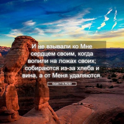 Picture 05 - Осия 7:14 RUSV - И не взывали ко Мне сердцем - Bible Verse Picture