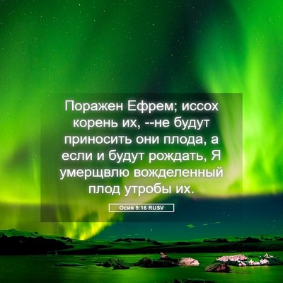 Picture 05 - Осия 9:16 RUSV - Поражен Ефрем; иссох - Bible Verse Picture
