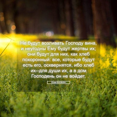 Picture 05 - Осия 9:4 RUSV - Не будут возливать Господу - Bible Verse Picture