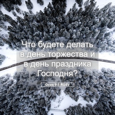 Picture 05 - Осия 9:5 RUSV - Что будете делать в день - Bible Verse Picture