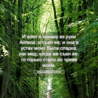 Picture 05 - Откровение 10:10 RUSV - И взял я книжку из руки - Bible Verse Picture