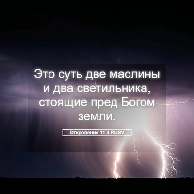 Picture 05 - Откровение 11:4 RUSV - Это суть две маслины и два - Bible Verse Picture