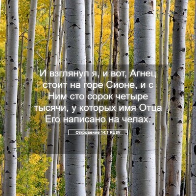 Picture 05 - Откровение 14:1 RUSV - И взглянул я, и вот, Агнец - Bible Verse Picture