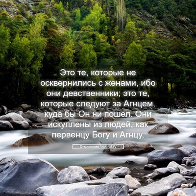 Picture 05 - Откровение 14:4 RUSV - Это те, которые не - Bible Verse Picture