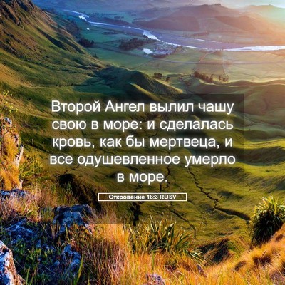 Picture 05 - Откровение 16:3 RUSV - Второй Ангел вылил чашу - Bible Verse Picture