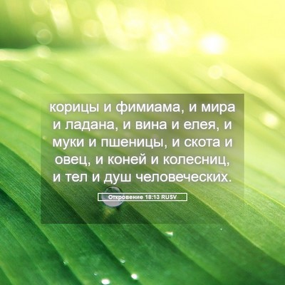 Picture 05 - Откровение 18:13 RUSV - корицы и фимиама, и мира и - Bible Verse Picture