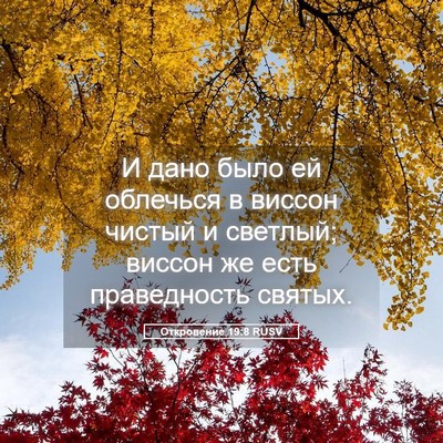 Picture 05 - Откровение 19:8 RUSV - И дано было ей облечься в - Bible Verse Picture
