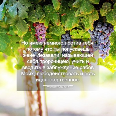 Picture 05 - Откровение 2:20 RUSV - Но имею немного против - Bible Verse Picture