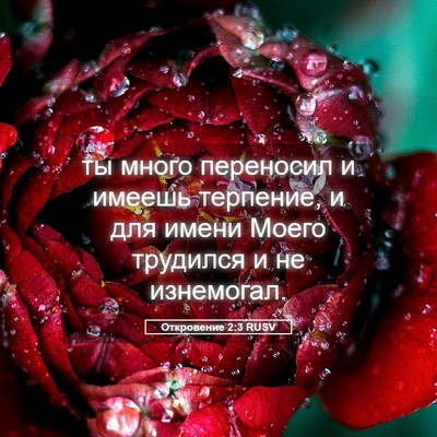 Picture 05 - Откровение 2:3 RUSV - ты много переносил и - Bible Verse Picture
