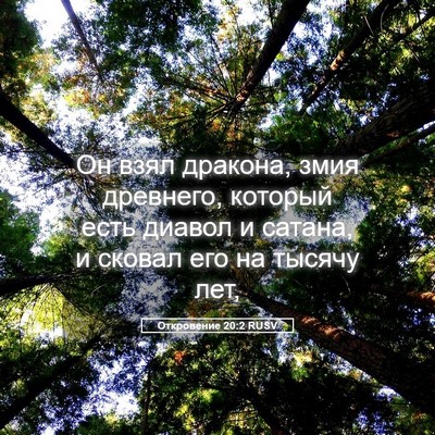 Picture 05 - Откровение 20:2 RUSV - Он взял дракона, змия - Bible Verse Picture