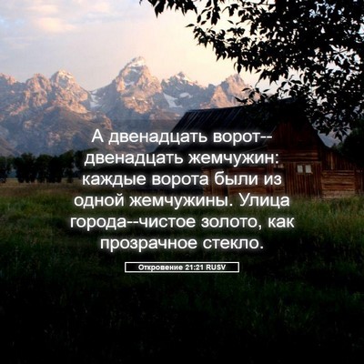 Picture 05 - Откровение 21:21 RUSV - А двенадцать - Bible Verse Picture