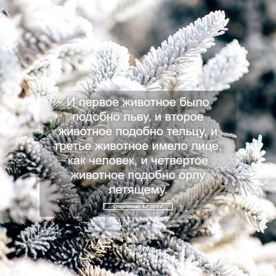 Picture 05 - Откровение 4:7 RUSV - И первое животное было - Bible Verse Picture