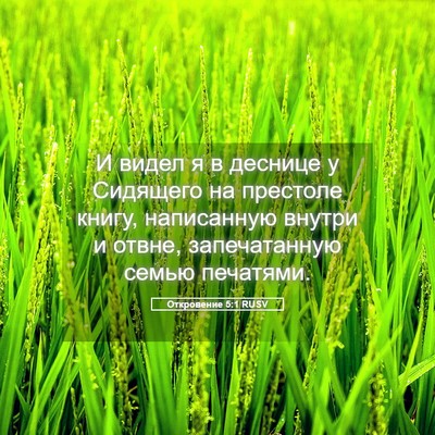 Picture 05 - Откровение 5:1 RUSV - И видел я в деснице у - Bible Verse Picture