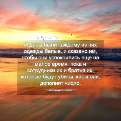 Picture 05 - Откровение 6:11 RUSV - И даны были каждому из них - Bible Verse Picture
