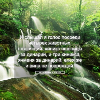 Picture 05 - Откровение 6:6 RUSV - И слышал я голос посреди - Bible Verse Picture