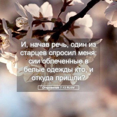 Picture 05 - Откровение 7:13 RUSV - И, начав речь, один из - Bible Verse Picture