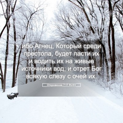 Picture 05 - Откровение 7:17 RUSV - ибо Агнец, Который среди - Bible Verse Picture