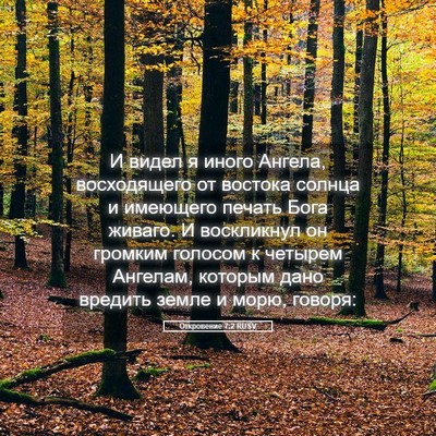 Picture 05 - Откровение 7:2 RUSV - И видел я иного Ангела, - Bible Verse Picture