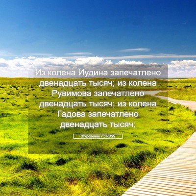 Picture 05 - Откровение 7:5 RUSV - Из колена Иудина - Bible Verse Picture