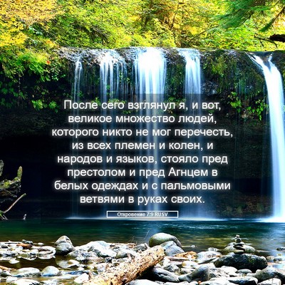 Picture 05 - Откровение 7:9 RUSV - После сего взглянул я, и - Bible Verse Picture