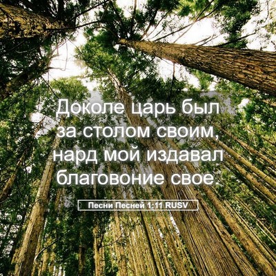 Picture 05 - Песни Песней 1:11 RUSV - Доколе царь был за столом - Bible Verse Picture
