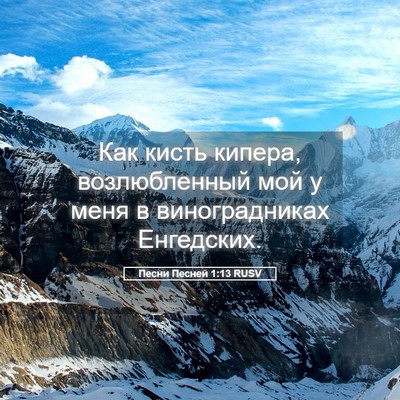 Picture 05 - Песни Песней 1:13 RUSV - Как кисть кипера, - Bible Verse Picture