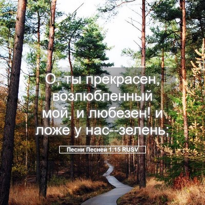 Picture 05 - Песни Песней 1:15 RUSV - О, ты прекрасен, - Bible Verse Picture