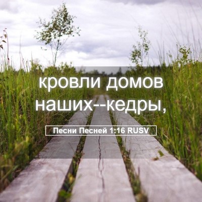 Picture 05 - Песни Песней 1:16 RUSV - кровли домов - Bible Verse Picture