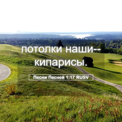 Picture 05 - Песни Песней 1:17 RUSV - потолки - Bible Verse Picture
