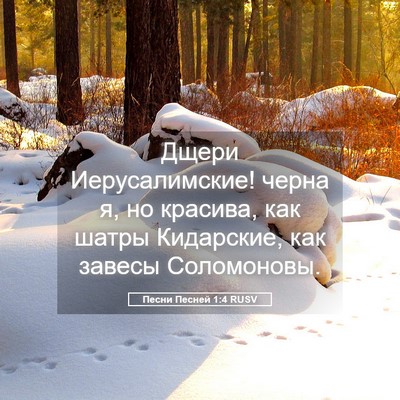 Picture 05 - Песни Песней 1:4 RUSV - Дщери Иерусалимские! черна - Bible Verse Picture