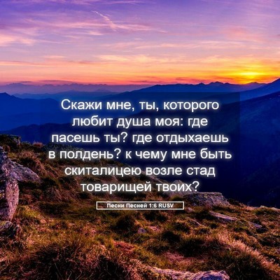Picture 05 - Песни Песней 1:6 RUSV - Скажи мне, ты, которого - Bible Verse Picture