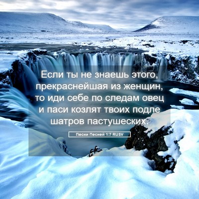 Picture 05 - Песни Песней 1:7 RUSV - Если ты не знаешь этого, - Bible Verse Picture